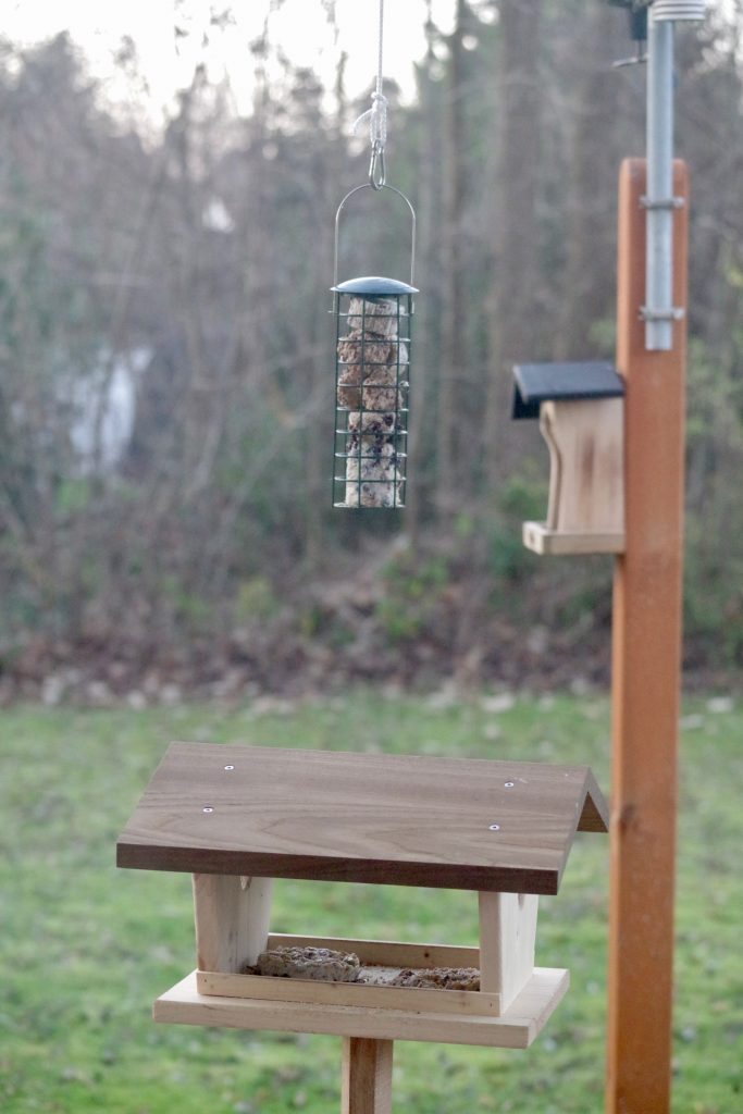 Das Vogelfutterensemble